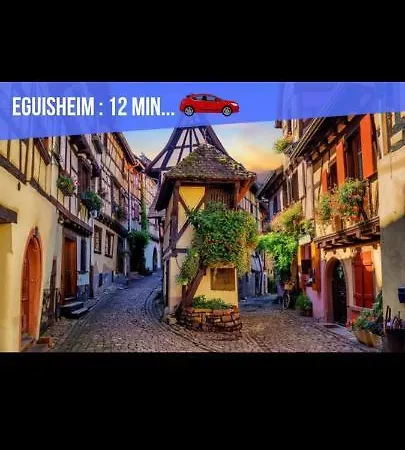 Refuge Ladhof Odysalis I Chic-moderne-proche Du Centre-ville 3 Pieces 2 * Кольмар