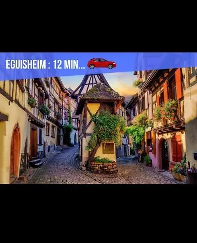 Refuge Ladhof Odysalis I Chic-moderne-proche Du Centre-ville 3 Pieces 2 * Colmar